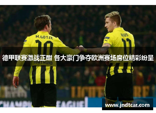 德甲联赛激战正酣 各大豪门争夺欧洲赛场席位精彩纷呈