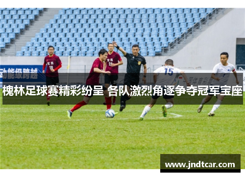 槐林足球赛精彩纷呈 各队激烈角逐争夺冠军宝座